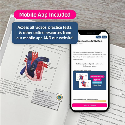 ATI TEAS 7 Study Guide – 5th Edition | Practice Tests + Online Resources